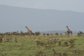 Enlarge photo 39
