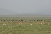 Enlarge photo 41