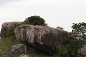 Enlarge photo 44
