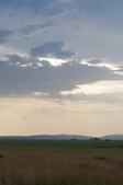 Enlarge photo 45