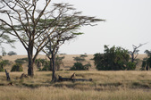 Enlarge photo 53