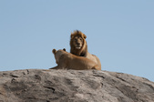 Enlarge photo 68