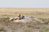 Enlarge photo 71