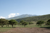 Enlarge photo 72