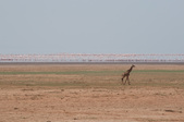 Enlarge photo 79