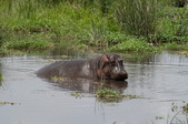 Enlarge photo 65