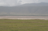 Enlarge photo 72