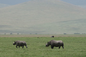 Enlarge photo 73