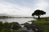 Enlarge photo 77