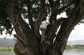 Enlarge photo 78