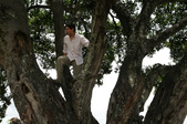 Enlarge photo 79
