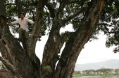 Enlarge photo 80