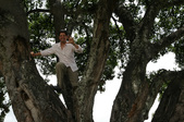 Enlarge photo 81