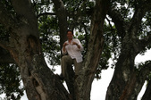 Enlarge photo 82