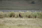 Enlarge photo 85