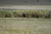 Enlarge photo 86