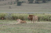 Enlarge photo 88