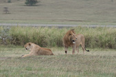 Enlarge photo 89