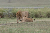 Enlarge photo 91