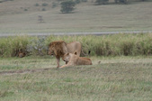 Enlarge photo 92