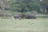 Enlarge photo 93