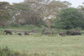 Enlarge photo 94