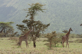 Enlarge photo 109