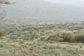 Enlarge photo 110