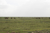 Enlarge photo 114