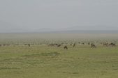 Enlarge photo 115