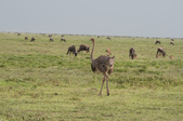 Enlarge photo 117