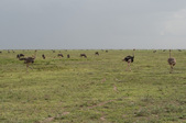 Enlarge photo 118