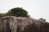 Enlarge photo 121