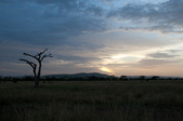 Enlarge photo 124