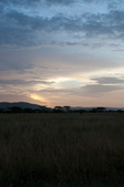 Enlarge photo 125
