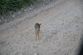 Enlarge photo 128