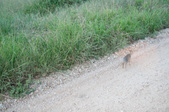 Enlarge photo 129