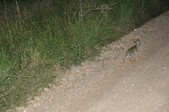 Enlarge photo 130