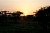 Enlarge photo 133