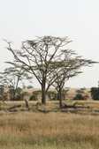 Enlarge photo 147