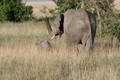 Enlarge photo 151