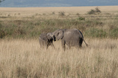 Enlarge photo 153