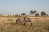 Enlarge photo 156