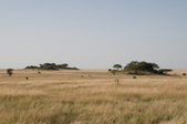 Enlarge photo 160