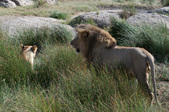 Enlarge photo 170