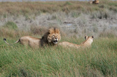 Enlarge photo 171