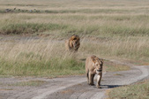 Enlarge photo 173