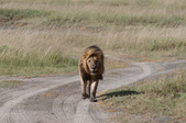 Enlarge photo 174