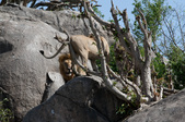 Enlarge photo 178
