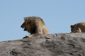 Enlarge photo 179